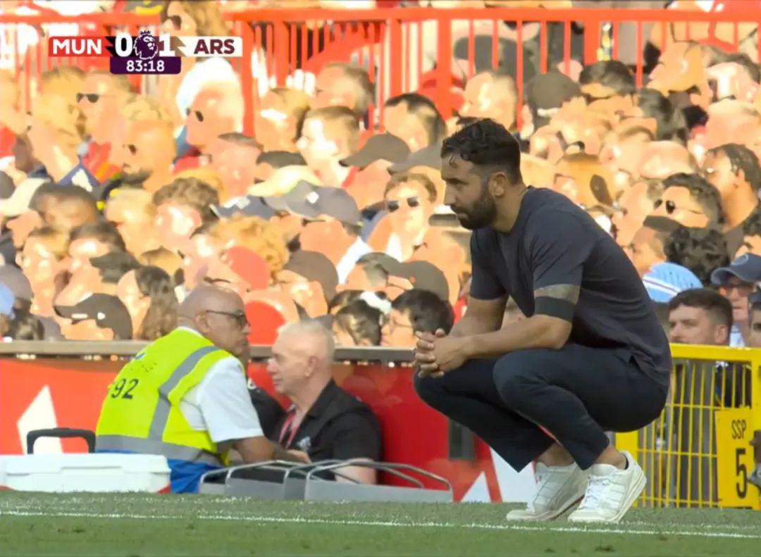 专家法布里 专家法布里