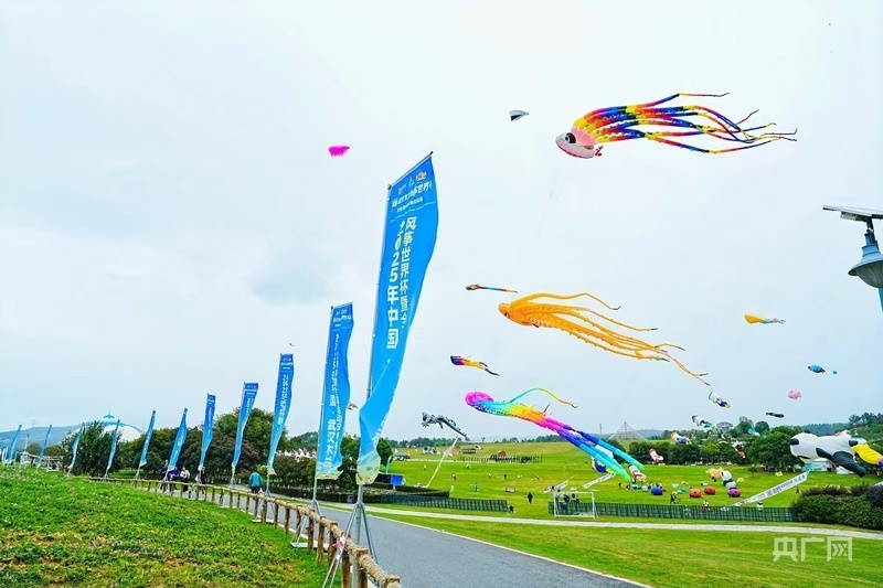 憨态可掬的, 北支点建设