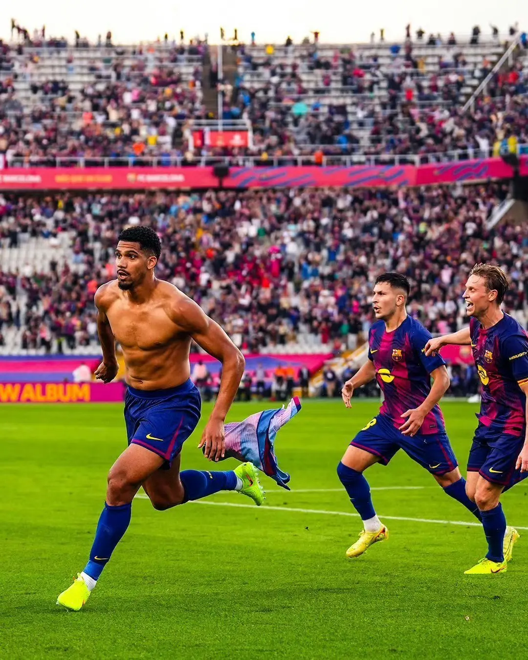 entit, img, div entit, img, div