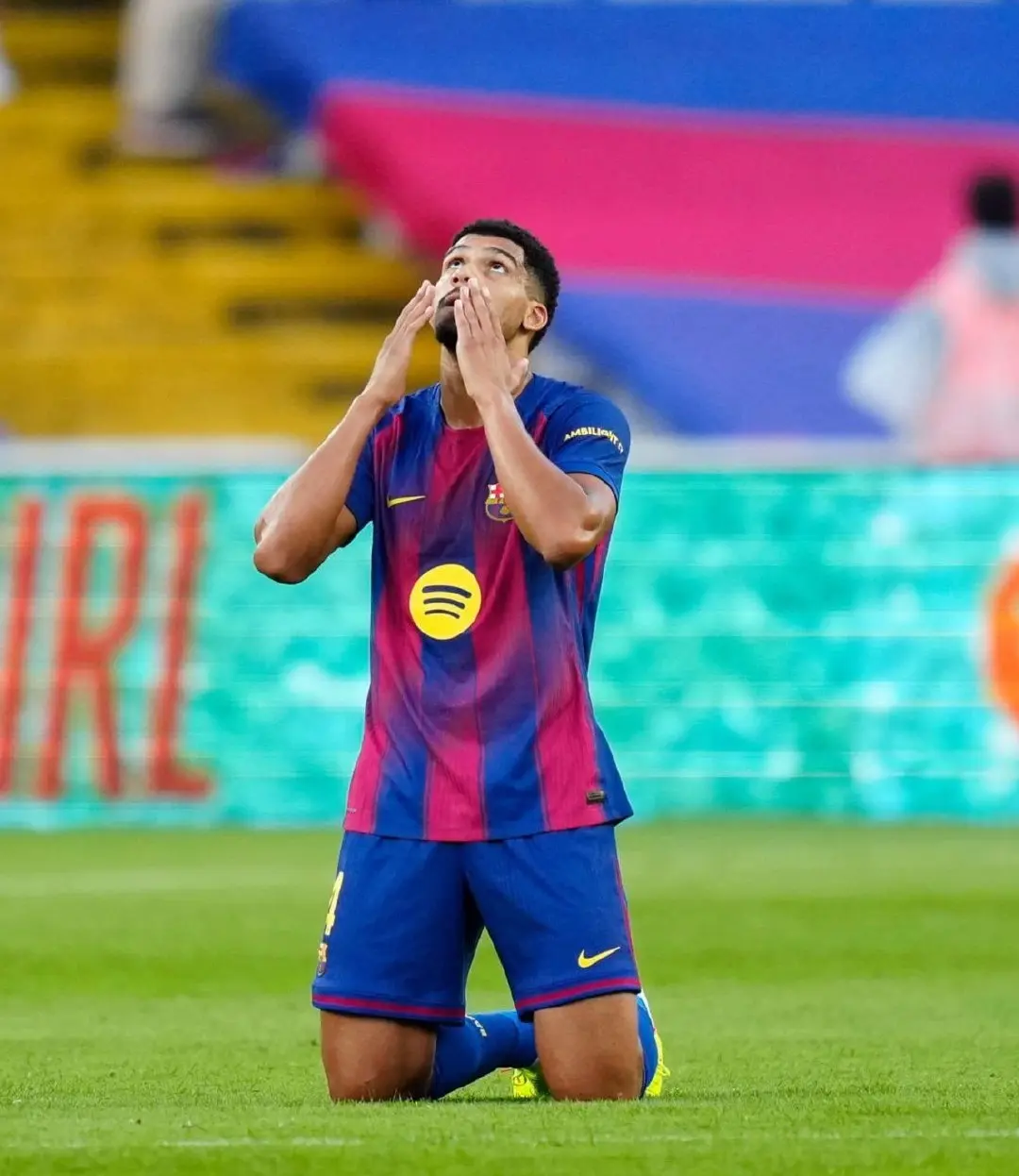 amp, cn, 分榜出炉 amp, cn, 分榜出炉